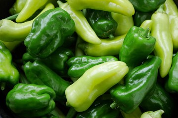 ピーマンとパプリカ20220901