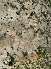 Texture background old paint stone rusty metal moss lichen scratches