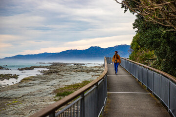 hiker girl enjoying a walk on kaikoura coast track in canterbury, new zealand; scenic track on...