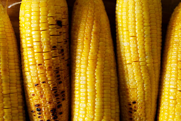 Grilled sweet corn on wooden board.