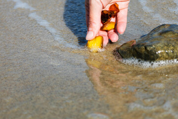 Beautiful pieces of amber in the hand of the sea background. A glowing wavy piece of amber in the palm of your hand. The sunstone.