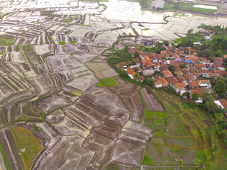 Fototapeta premium Aerial view of agriculture in rice fields near residential areas for cultivation in West Java Province, Indonesia. Random and abstract rice field tests for background. Shot from a drone flying 