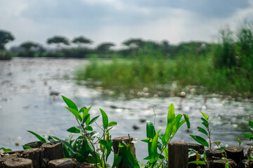 ,Cultivating rice fields requires a lot of labor as farmers are attached to the land. To cultivate wet rice fields, a certain amount of water is always needed, often very large,