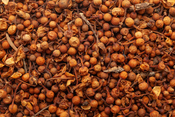 Close-up of Dry Organic Ceylon
ironwood or Nagkesar (Mesua ferrea) seeds, Full-Frame wallpaper. Top...