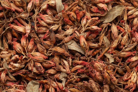 Close-up of Organic Dry Dhai Phool (Woodfordia fruticosa), Full-Frame wallpaper. Top View