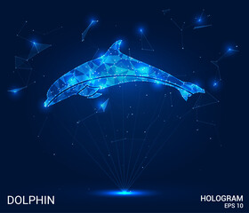 A hologram of a dolphin. A dolphin made of polygons, triangles of dots and lines. Dolphin is a low-poly compound structure. Technology concept vector.