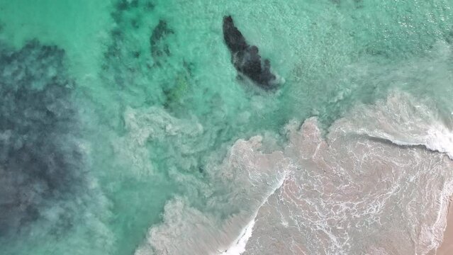 sting ray beach yanchep lagoon perth australia 4k