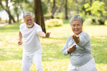asian senior couple workout and practice tai chi in the park