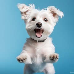 Portrait of cute dog isolated on blue background with copy space. Pet concept.