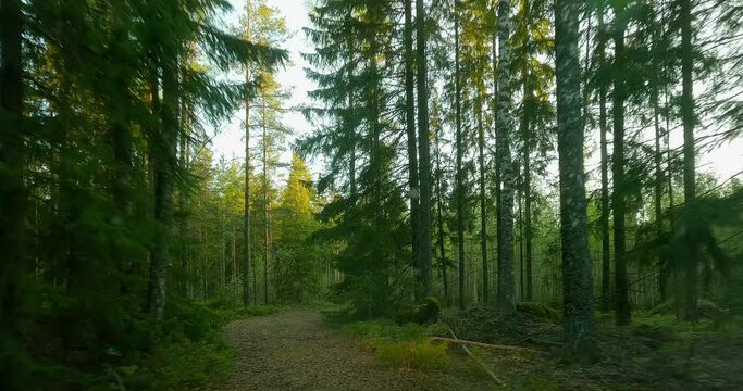 Driving slowly along a small gravel road in forest. POV shot from a camera driving through empty forest road in spring, Hurppu, Virolahti, Finland.