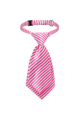 Close-up shot of a short women's tie with print. Pre-tied pink striped tie with an adjustable strap is isolated on a white background. Front view.