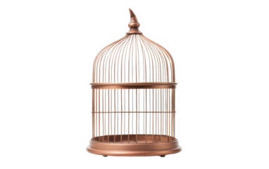 Bronze Bird Cage on a White or Clear Surface PNG Transparent Background