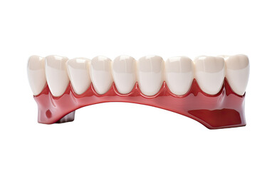 teeth model on a White or Clear Surface PNG Transparent Background