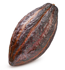 Cocoa full macro shoot clipping path. Cocoa pod isolated on white background. Cocoa pod with...