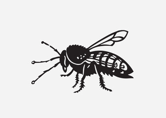 Fototapeta premium fly isolated on white