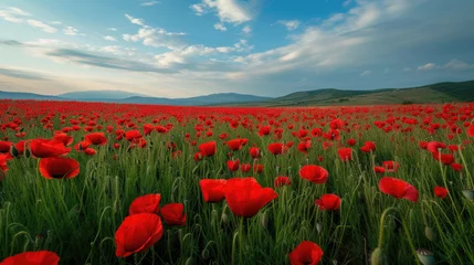 Foto op Plexiglas A breathtaking panorama of endless red poppy fields under the open sky © Veniamin Kraskov