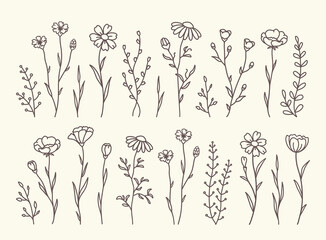 floral set wildflowers, flowers and herbs silhouettes - 729163093