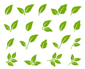 set of abstract green leaves icons, environmental emblem and greenery label, branches, twigs and sprigs - 729163261