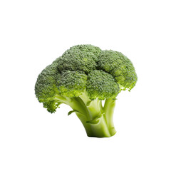 Broccoli on transparent background