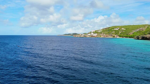 Brown booby and frigate birds soar in the heavens above coral reef drop off zone in Caribbean, aerial