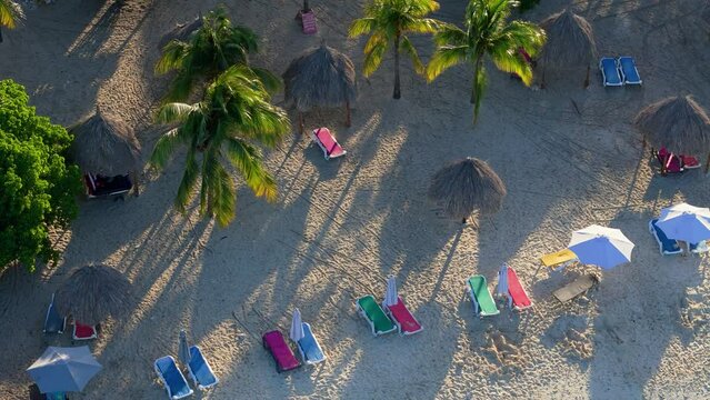 Vibrant beautiful colored beach chairs and tropical palm umbrellas on Caribbean beach