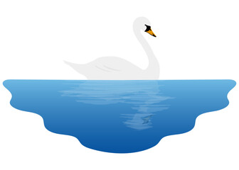 湖に浮かぶ白鳥