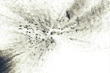 Flying birds. Abstract art nature. Dispersion, splatter effect. 
