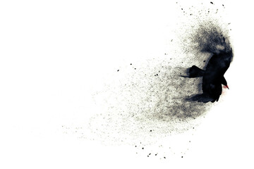 Flying crow. Abstract art nature. Dispersion, splatter effect. 