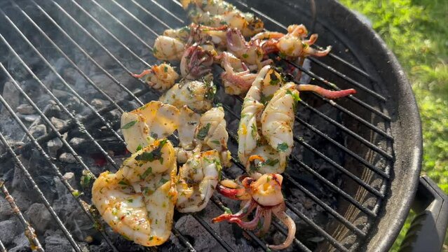 Grilling squid marinated over bbq, in the garden, barbecue, sunny day, France
