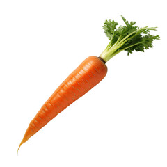 Carrot on transparent background