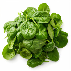 Fototapeta premium A vibrant and fresh bunch of spinach isolated on a clean white background, showcasing its verdant color and crisp texture. 
