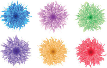 Colorful Isolated Dahlia Flowers Collection