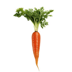 Carrot on transparent background