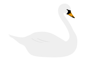 白鳥　イラスト