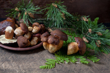 Imleria Badia or Boletus badius mushrooms commonly known as the bay bolete and clay plate with mushrooms on vintage wooden background..
