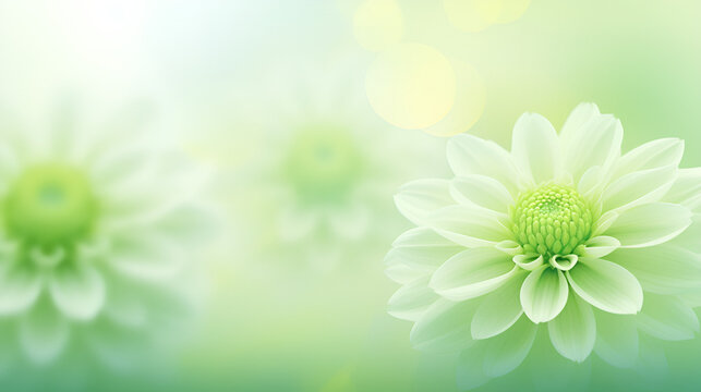 flower in the grass,,
background walpaper image