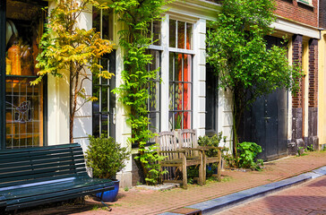 Amsterdam, Netherlands. Autumn Street with Traditional Houses and windows. Flowers in Flowerpots, House Entrance door Decoration Natural Plants amsterdam city Urban Landscape