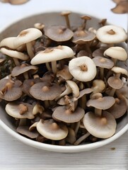 Fototapeta premium Fresh mushrooms in a plate