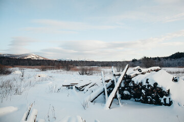 Firewood stacked in a snowy forest clearing with a mountain in the distance.