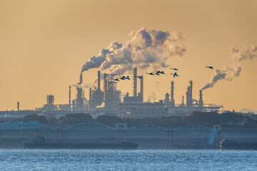 little swans fly over the thick smoking oil refinery