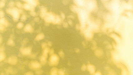 Ceramic tile wall background or texture. Floor tile pattern.