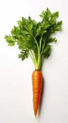 A carrot with green leaves on white background.