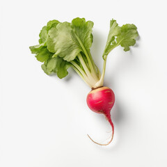 A radish with green leaves on white background.