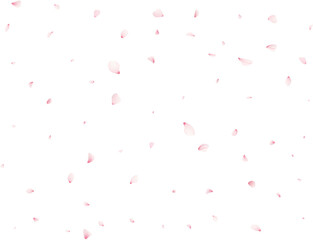 Sakura Flower Petals