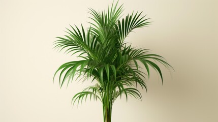 A potted palm plant sitting on top of a wooden table. Suitable for interior design or tropical-themed concepts