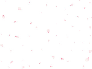 Sakura Flower Petals © Elena