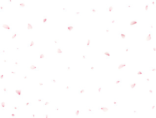 Sakura Flower Petals