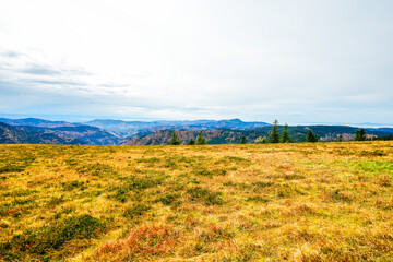Obraz premium Landscape in autumn at Feldberg in the Black Forest. Feldbergsteig hiking trail. Nature in the Breisgau-Hochschwarzwald district in Baden-Württemberg. 