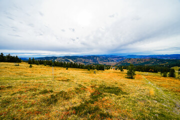 Obraz premium Landscape in autumn at Feldberg in the Black Forest. Feldbergsteig hiking trail. Nature in the Breisgau-Hochschwarzwald district in Baden-Württemberg. 