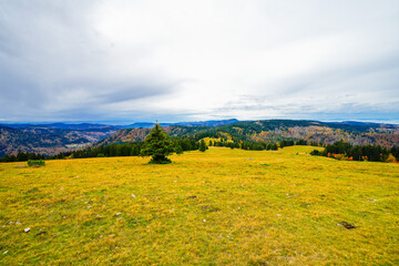 Landscape Autumn Feldberg The Black
